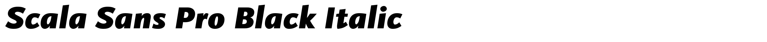 Scala Sans Pro Black Italic
